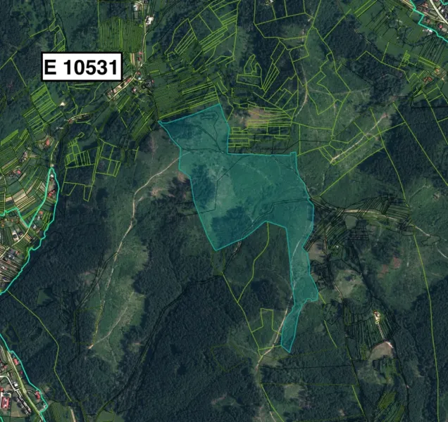 Aerial view of agricultural and forest land in Raková with highlighted parcels.