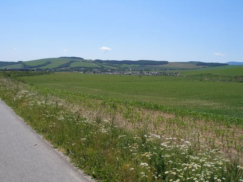 Panoramic view of unique properties in picturesque Jarovnice surrounded by green fields.