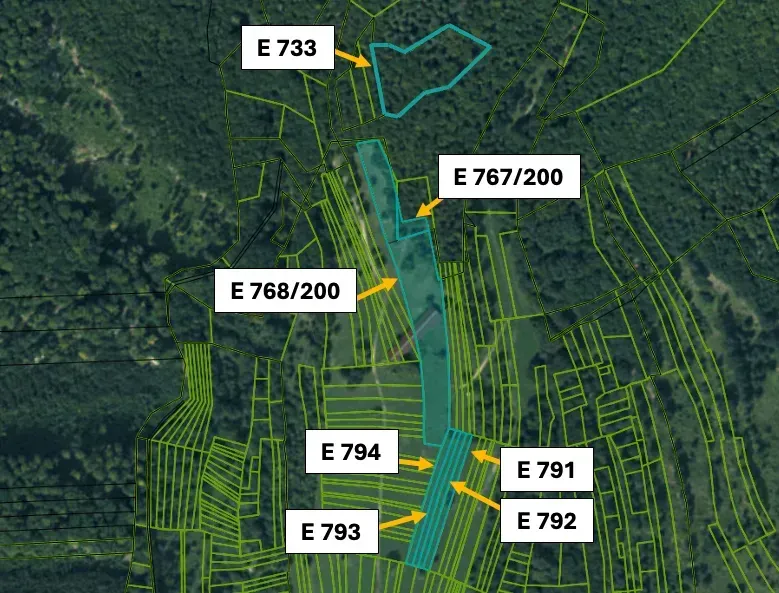 Cadastral map of agricultural and forest land in Omastiná with parcel numbers.