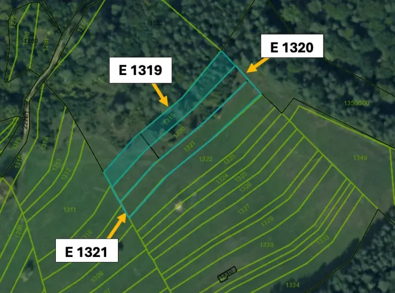 Map of agricultural and forest land in the village of Omastiná, marked plots.