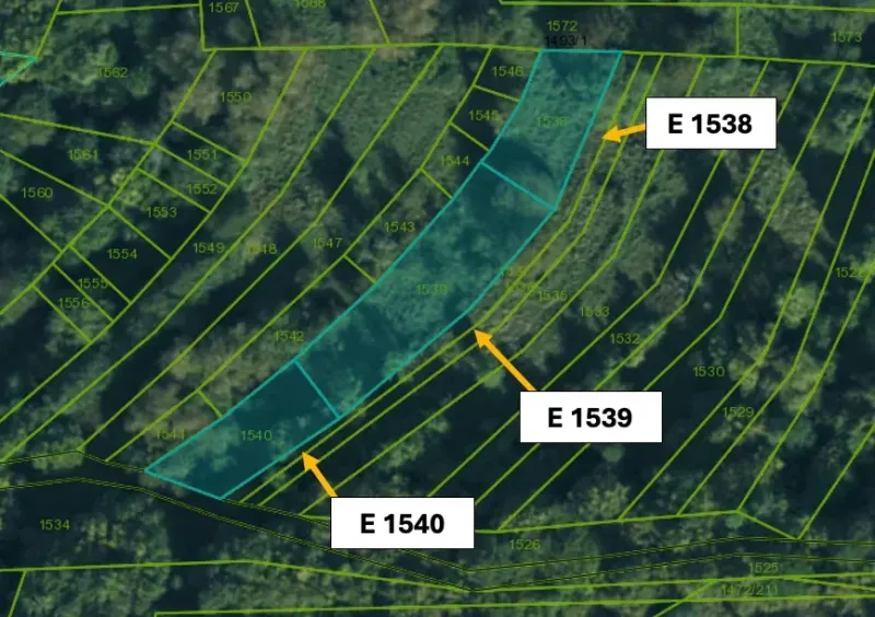 Cadastral map with agricultural and forest land in Omastiná, parcels E 1538-1540 are marked.