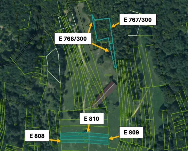The cadastral map of Omastiná shows agricultural and forest lands with plots marked E 767/300.