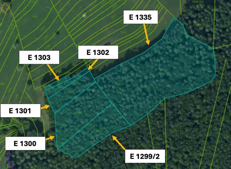 Cadastral map with designation of agricultural and forest land plots in Omastiná.