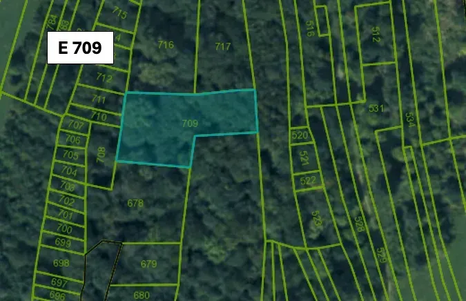 Map of agricultural and forest land in Omastiná with the plot E 709 marked.