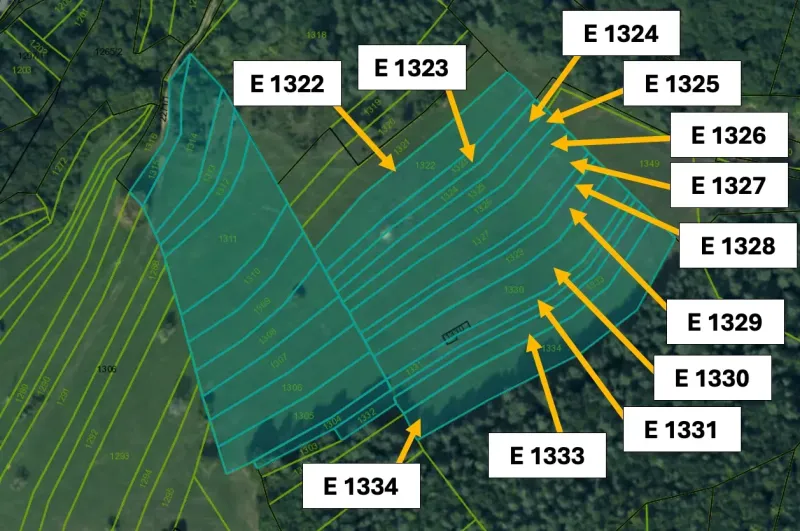 Map of agricultural and forest land in the Omastiná area with parcel numbers.