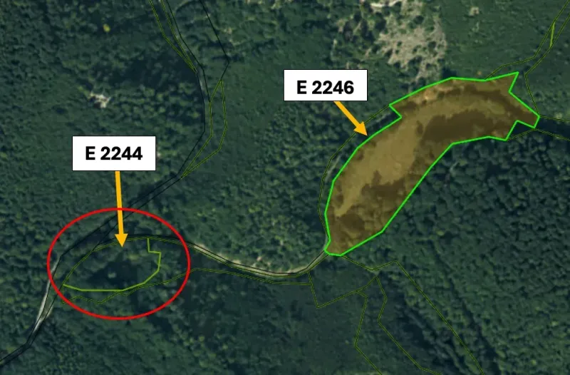 A map view of agricultural and forest land near Omastiná with marked parcels.