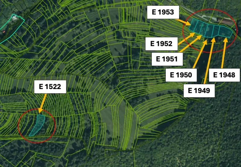 Cadastral map of agricultural and forest lands near Omastiná with numbered plots.
