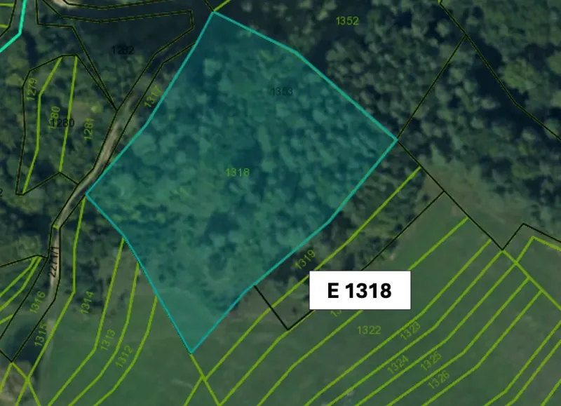 Cadastral map of agricultural and forest land in Omastiná with parcel E 1318.
