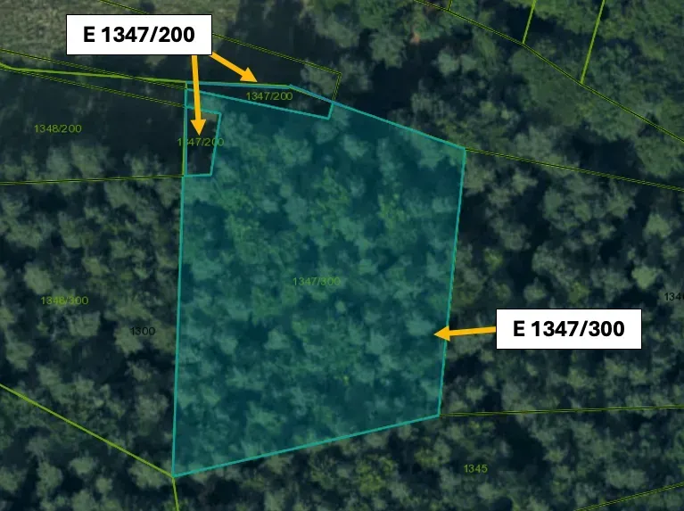 An aerial view of agricultural and forest land surrounded by greenery near Omastiná.