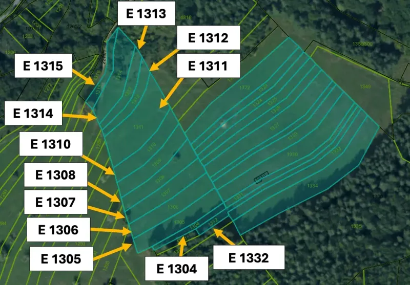 Map of agricultural and forest lands in Omastiná with delineated parcel boundaries.
