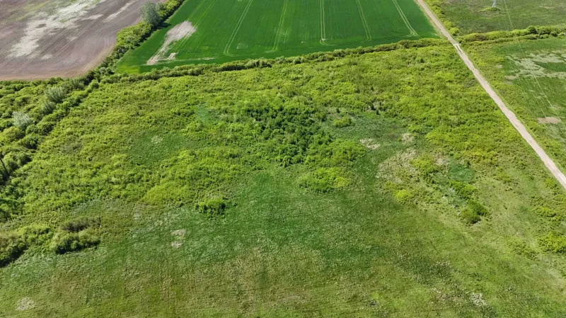 A view of agricultural and forest land in Zemplínske Kopčany with visible green fields.