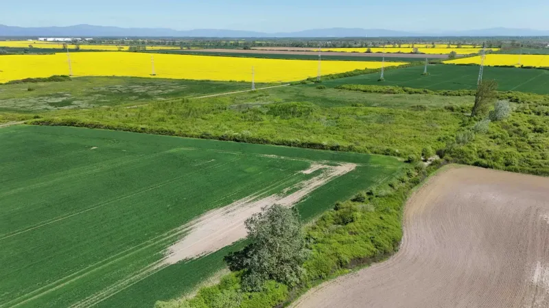 Extensive agricultural and forest lands in Zemplínske Kopčany with a variety of field colors.