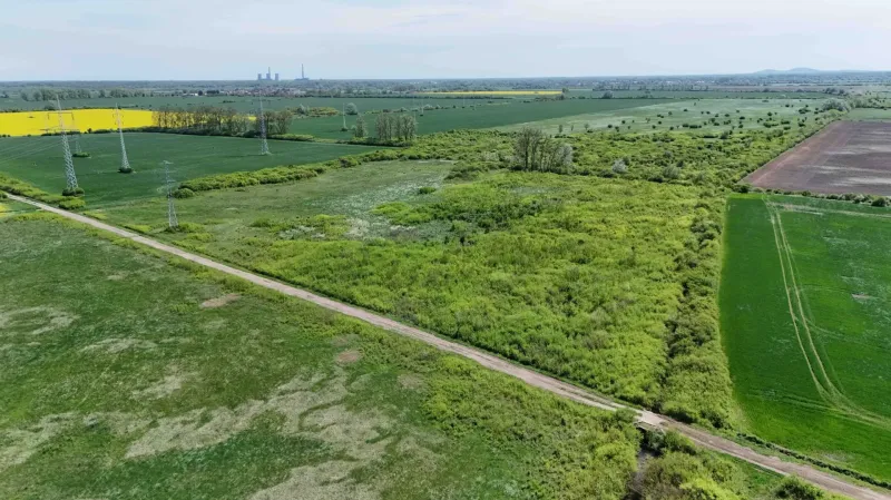 Agricultural and forest lands in Zemplínske Kopčany with visible electric poles and a road.