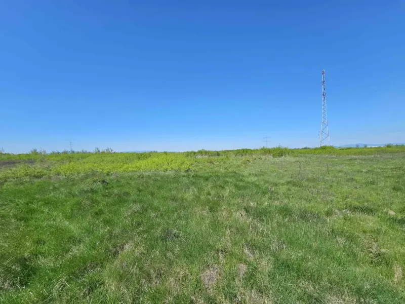 A wide grassy field in Zemplínske Kopčany, agricultural and forest lands with a tower.