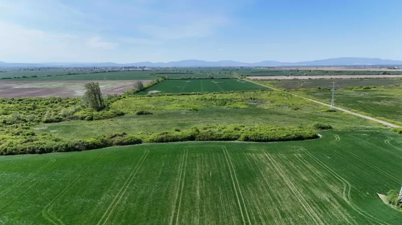 Vast green agricultural areas and forest lands around Zemplínske Kopčany.