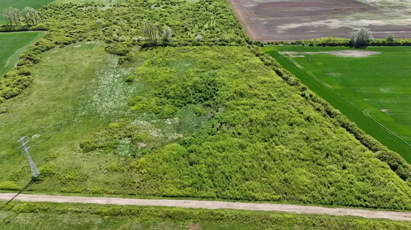 Agricultural and forest lands in Zemplínske Kopčany, various green vegetation, and an access road.