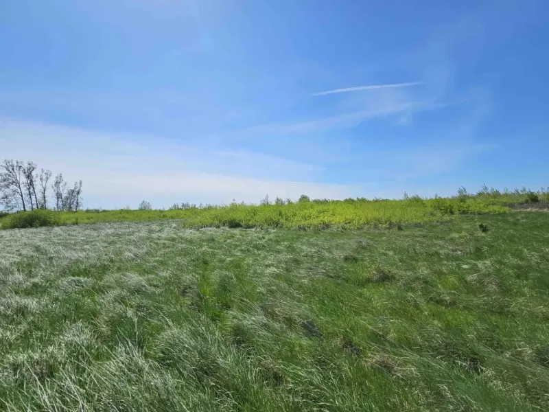 Agricultural and forest lands in Zemplínske Kopčany with grassy areas and a blue sky.