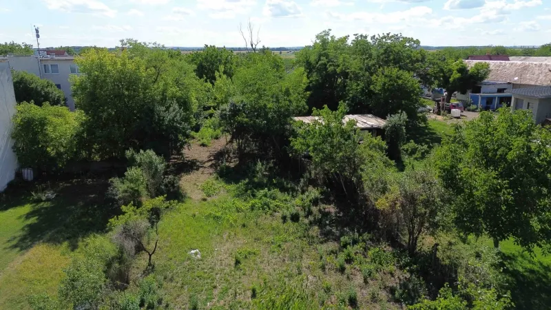Greenery and buildings on the property in Hronovce designated for living.