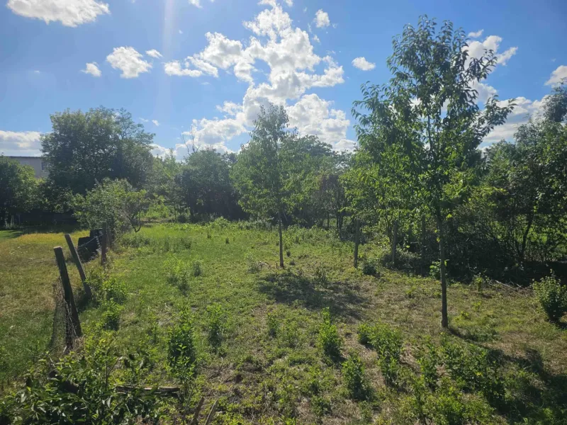 Plots - housing in Hronovce with grassy area, trees, and fencing under a blue sky.