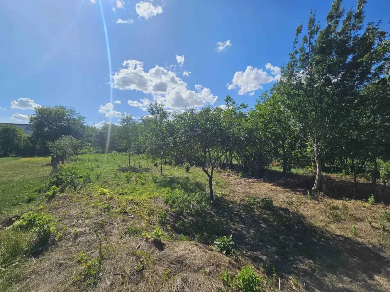Lands - housing in Hronovce, green areas with young trees under a clear sky.