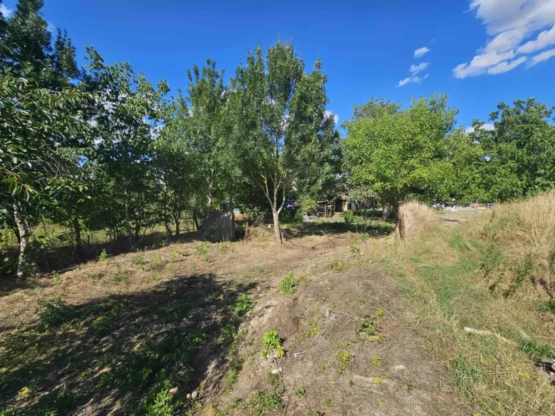 Plots - housing in Hronovce with grass cover and numerous trees.