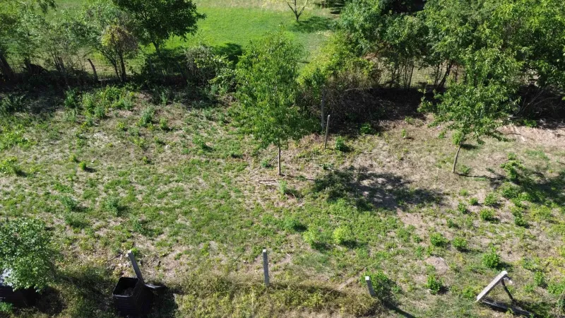 Greenery and trees in Hronovce on residential plots, fenced plot.