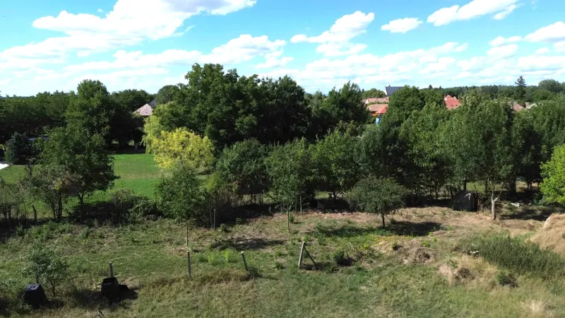 Greenery and trees in Hronovce create a natural atmosphere for residential plots.