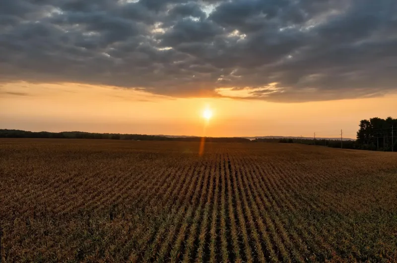 Sunset over the fields in Lekárovce, agricultural and forest lands, dramatic clouds.