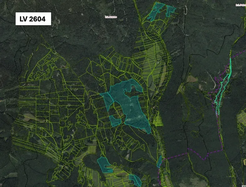 Aerial view of agricultural and forest lands around Brusno.