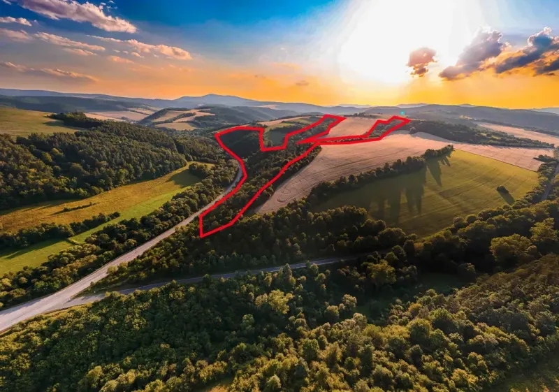 Agricultural and forest lands in Rokycany surrounded by forests and a road at sunset.