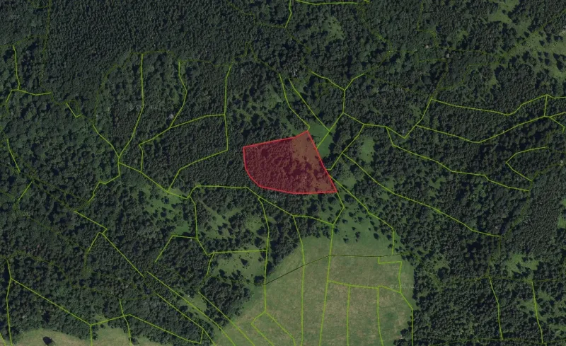 Satellite view of agricultural and forest lands in Poniky with a marked parcel.