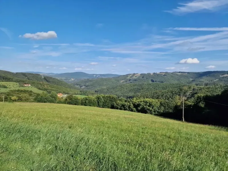 Extensive agricultural and forest lands in Petrova Lehota with views of the hills.