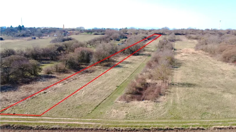 A rural plot in Štúrovo surrounded by trees, bordered by red lines, designated for gardens.