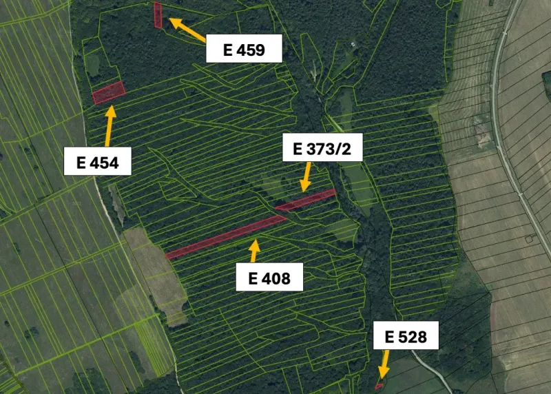 Aerial view of agricultural and forest lands around Hankovce with plotted parcels.