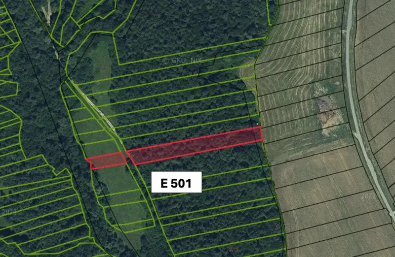 Map of agricultural and forest land near Hankovce, highlighted plot E 501.