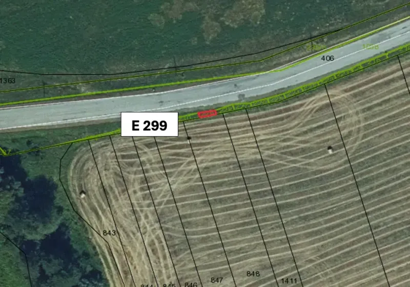 Agricultural and forest lands in Hankovce, shown in a satellite view with road E 299.