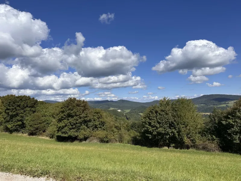 Landscape in Hankovce with agricultural and forest lands, blue sky, clouds.