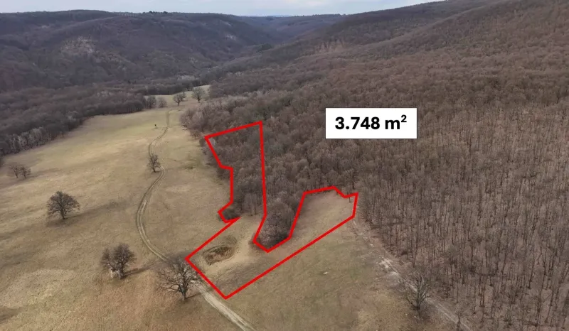 Agricultural and forest land in Príbelce, surrounded by forests and meadows, with an area of 3,748 m².