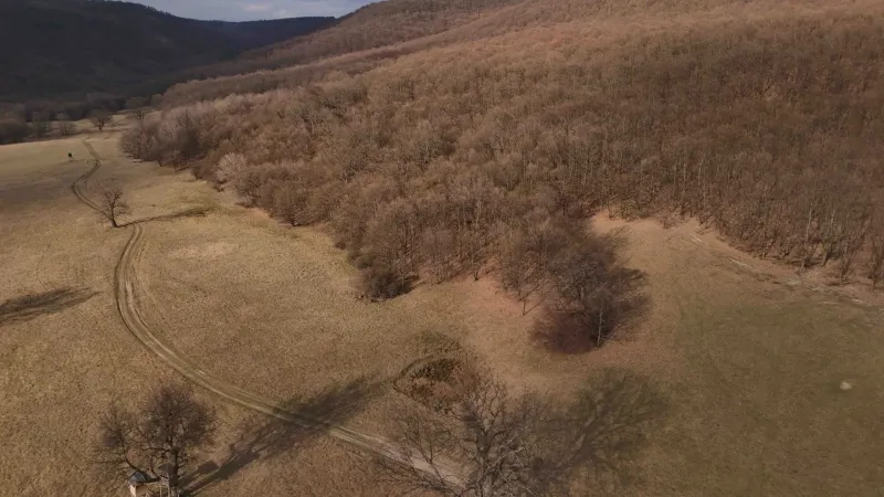 Agricultural and forest lands in Príbelce surrounded by forests and meadows with dirt roads.