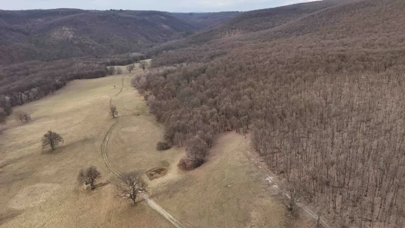 A view of agricultural and forest lands in Príbelce, bordered by trees and meadows.