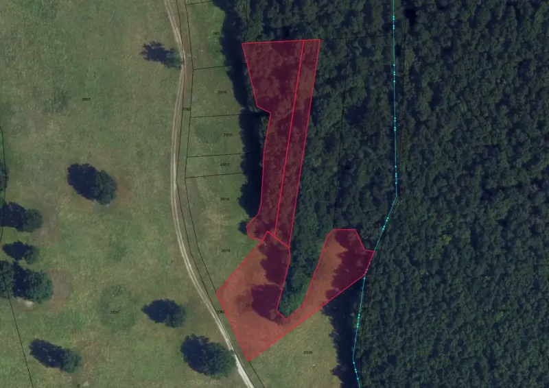 Orthophotomap of agricultural and forest land in the Príbelce area.