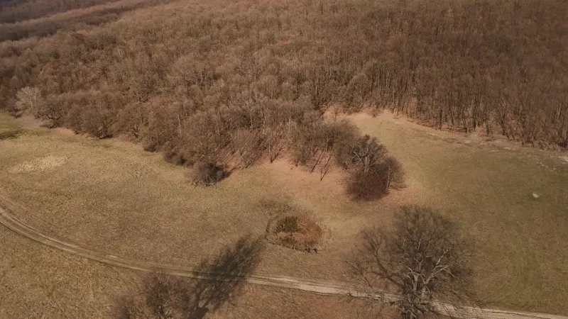 Agricultural and forest lands near Príbelce, showing wooded and meadow areas with a road.