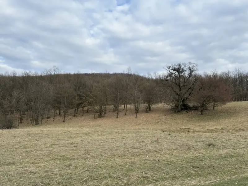 Agricultural and forest lands in Príbelce with bare trees under a cloudy sky.