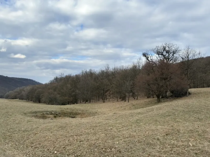 Nature in Príbelce with agricultural and forest lands, sky covered with clouds.