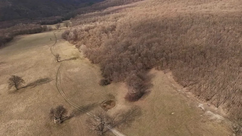 Agricultural and forest lands in Príbelce with forests and fields in the landscape scenery.