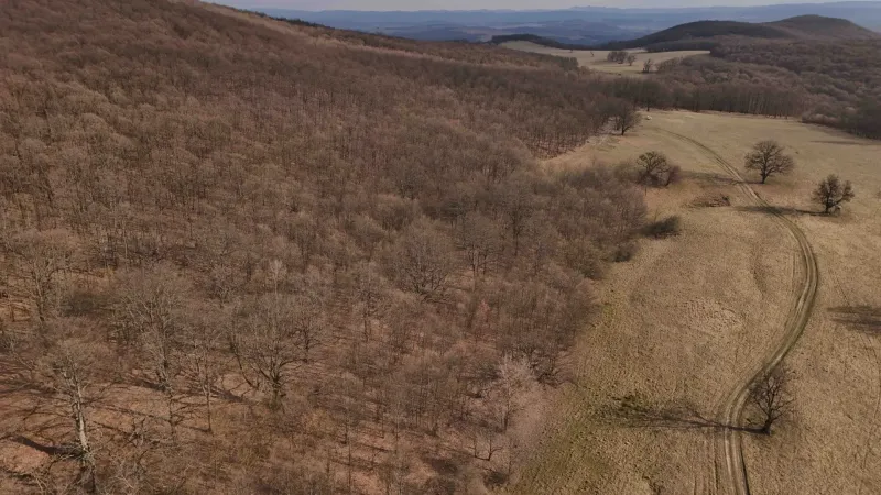 The Jesenitý forest and the peaceful landscape are surrounded by agricultural and forest lands in Príbelce.