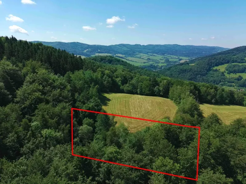 Panoramic view of agricultural and forest lands in the village of Lysá pod Makytou.