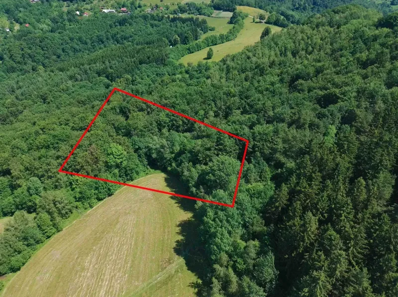 Aerial view of agricultural and forest land in the ski area Lysá pod Makytou.