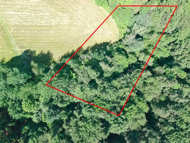 Aerial view of agricultural and forest lands in Lysá pod Makytou surrounded by greenery.