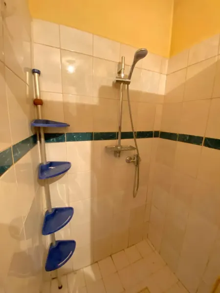 Shower corner with blue shelves and tiles, family house.